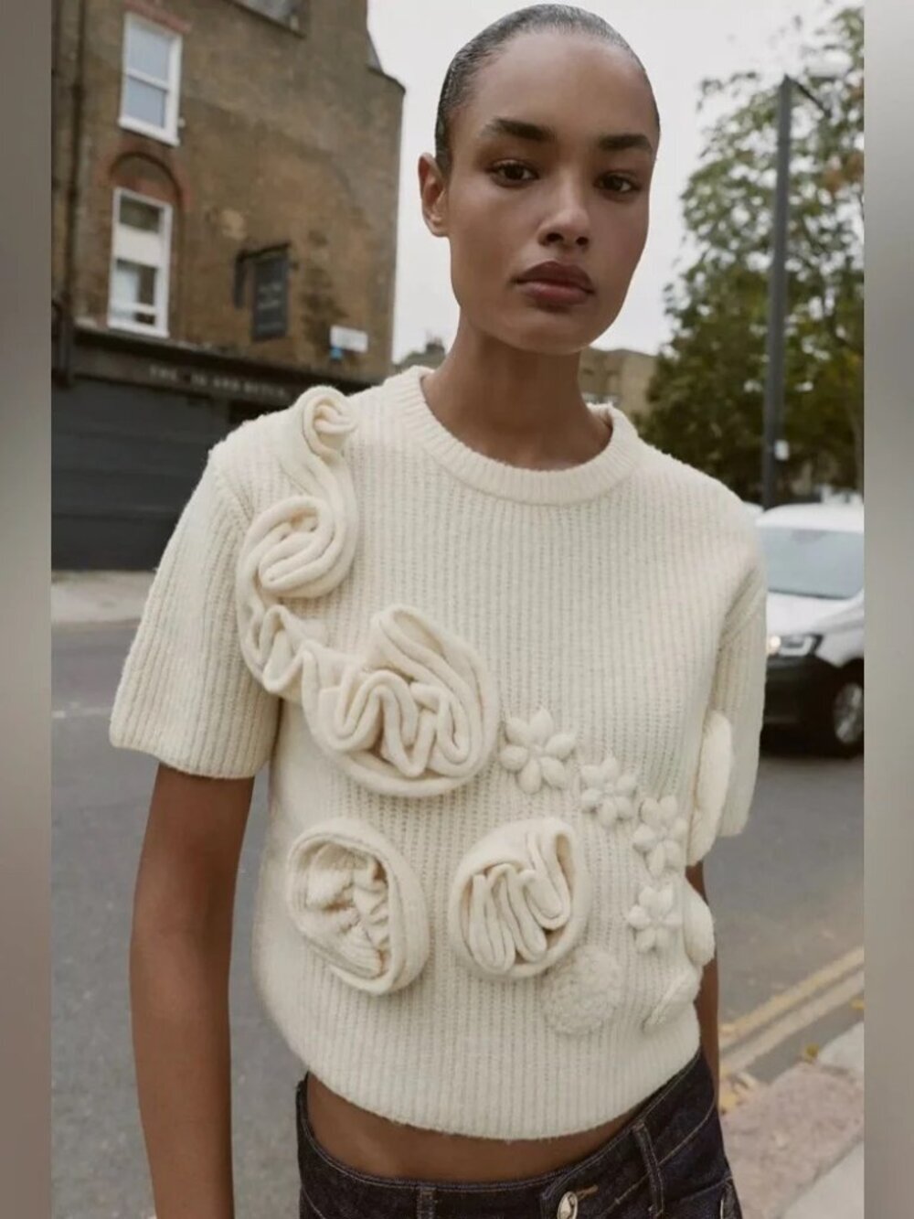 Zara Cream Short-Sleeve Appliqué Knit Sweater, Size M EUC